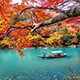 mk体育